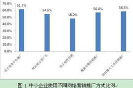 北京中小企業(yè)網(wǎng)站推廣的策略與價值——基于CNNIC互聯(lián)網(wǎng)研究的啟示